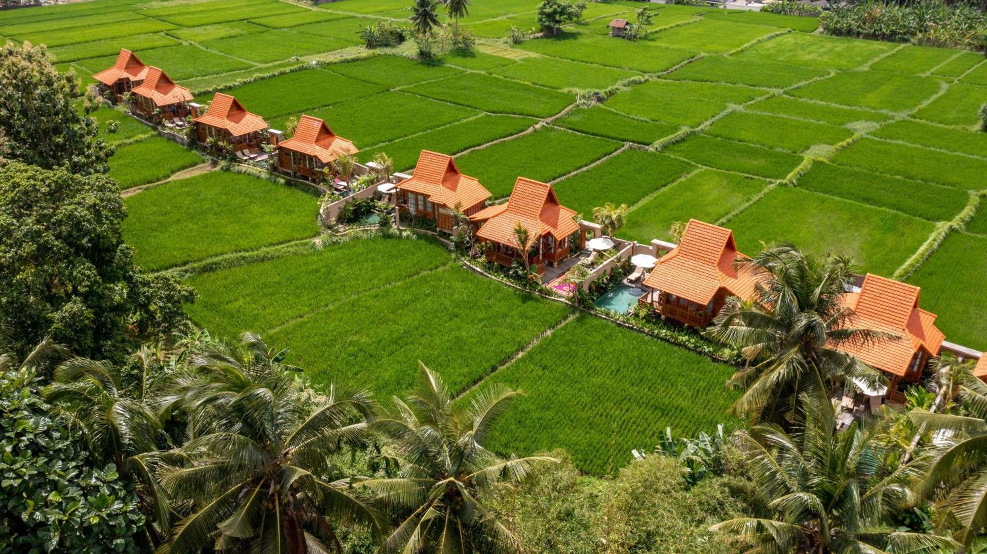 The Kalyana Ubud Resort Kültér fotó