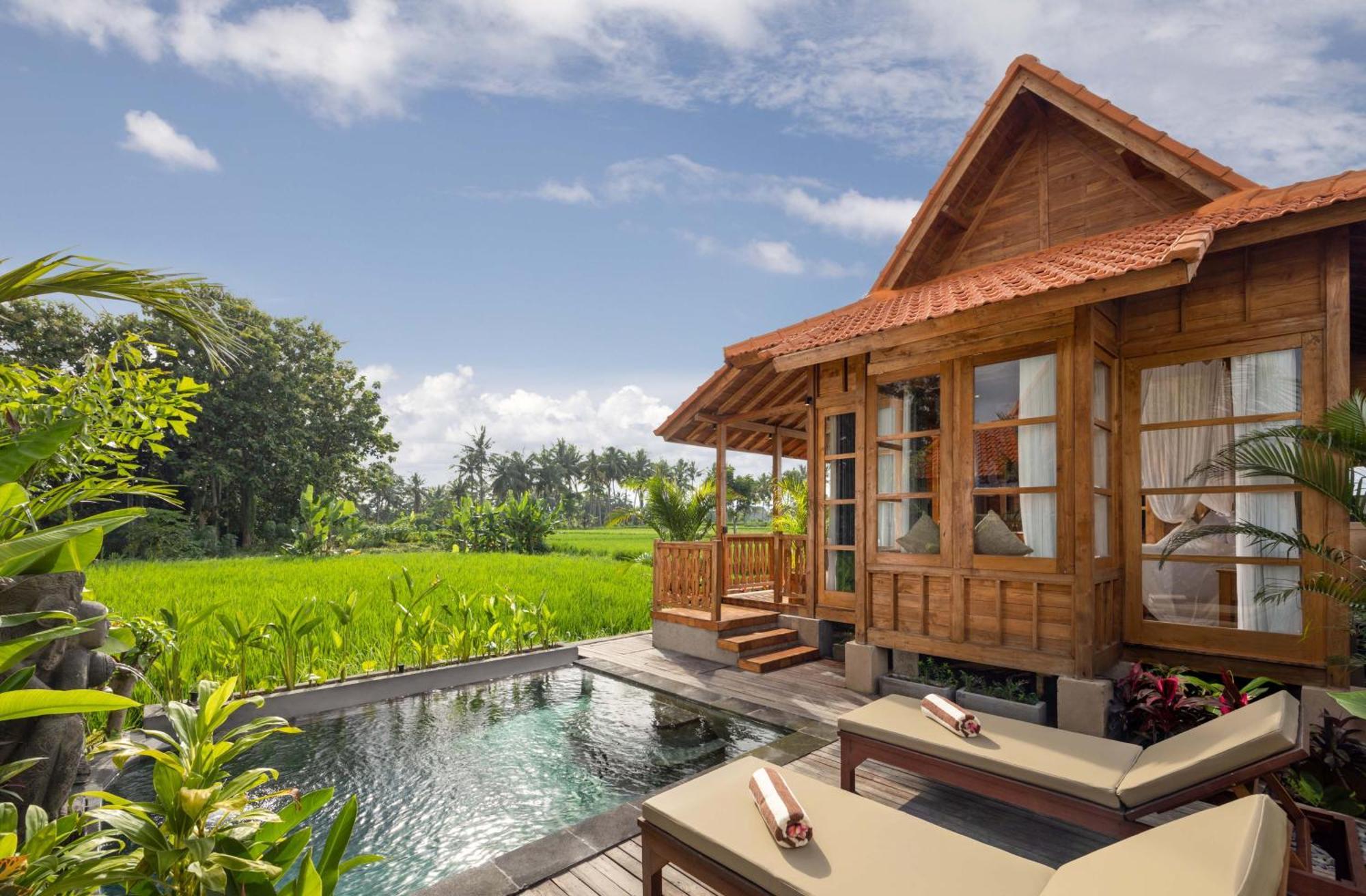 The Kalyana Ubud Resort Kültér fotó
