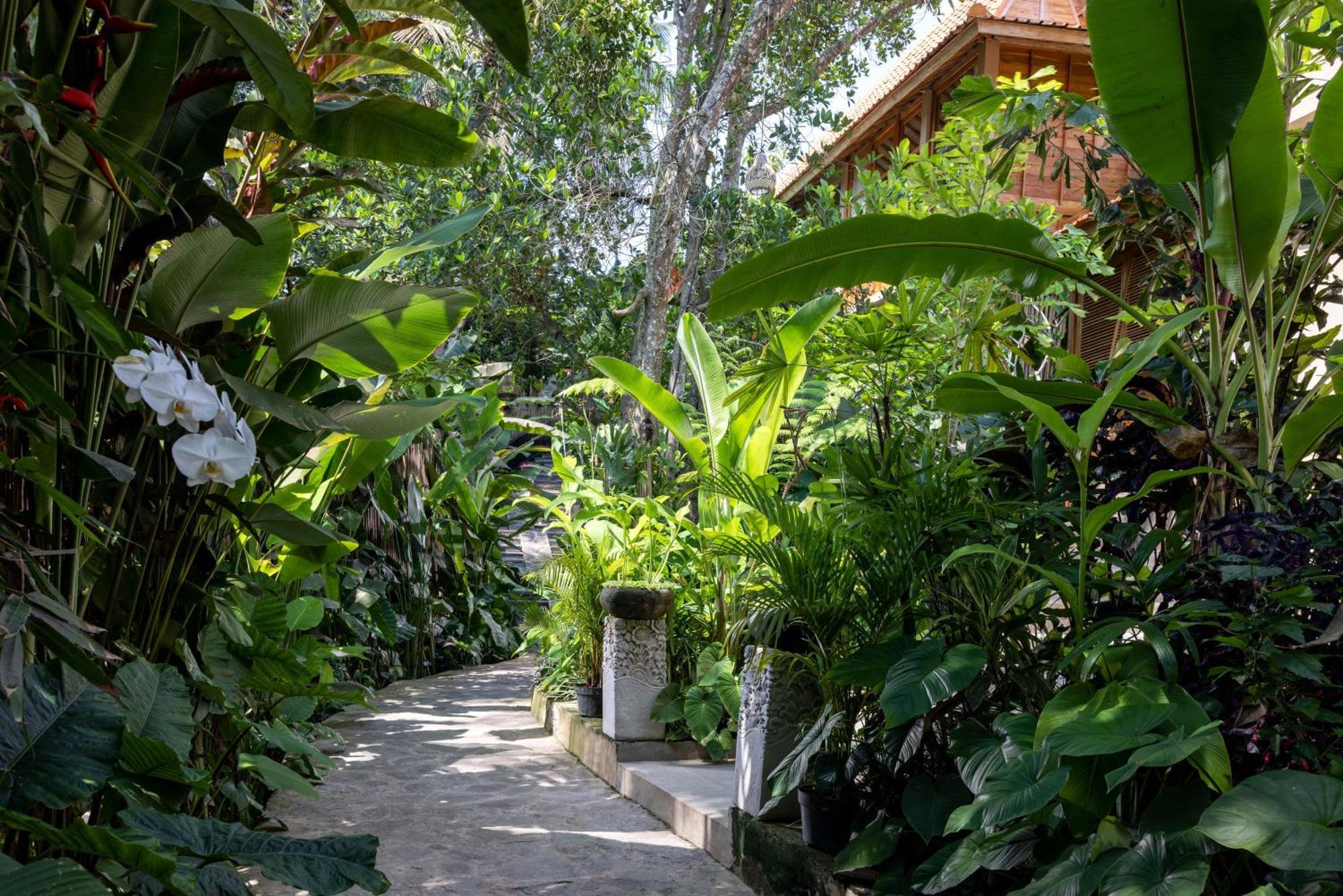 The Kalyana Ubud Resort Kültér fotó